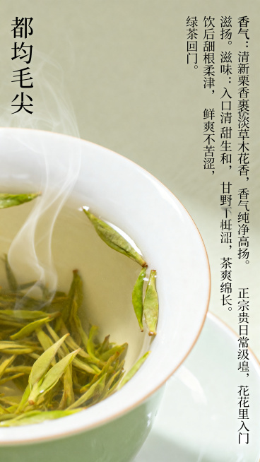口感风味滋味详解页，都匀毛尖茶汤近景特写，杯口飘着淡淡热气，柔和光影，极简氛围感，莫兰迪浅绿搭配米白色调，低饱和度，风格极简高级国风，自然写实柔和哑光，左右图文排版，留白超过40%。左侧是茶汤近景图，预览效果