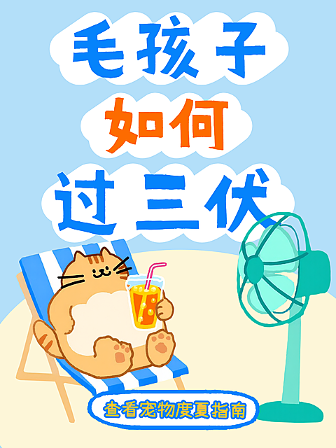 宠物度夏指南小红书封面