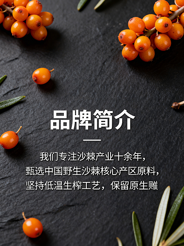 产品手册内页，品牌简介页面，文字内容为"我们专注沙棘产业十余年，甄选中国野生沙棘核心产区原料，坚持低温生榨工艺，保留原生营养，致力于把自然馈赠的健康带给每个家庭"，标题为"品牌简介"，简约自然风格，背景点缀沙棘果元素，排版干净舒适