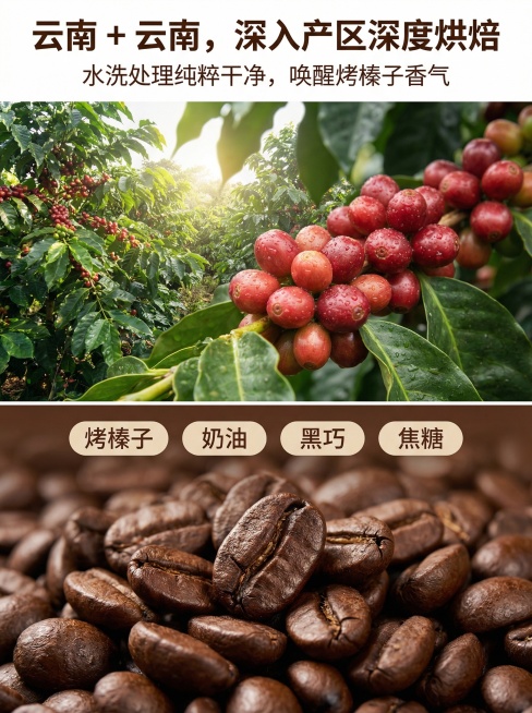 3:4竖版构图，上半部分为云南咖啡种植园实景图，阳光穿透咖啡树，鲜果特写突出饱满质感。下半部分为阿拉比卡咖啡豆特写，深度烘焙后的油亮质感，搭配风味关键词「烤榛子 | 奶油 | 黑巧 | 焦糖」。主标题预览效果
