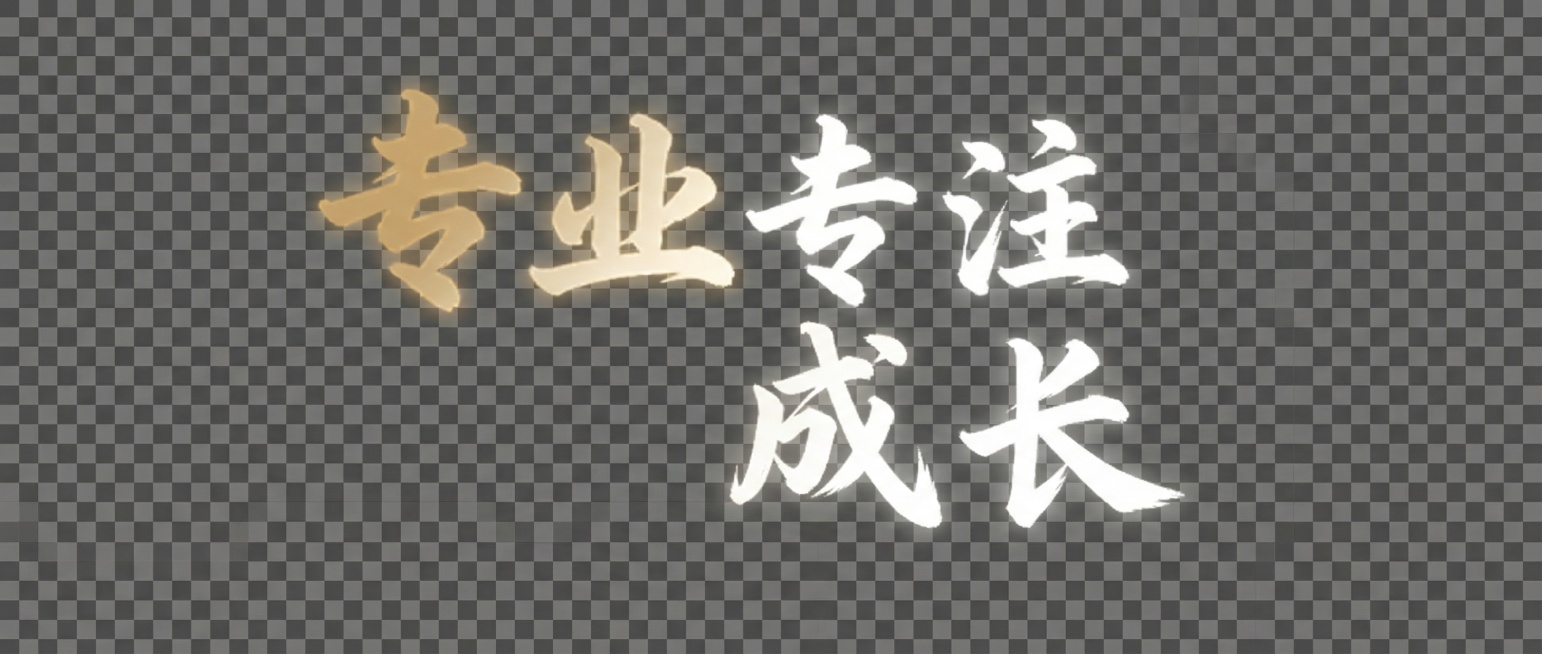 将图中的文字修改成“专业  专注  成长”预览效果