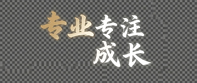 将图中的文字修改成“专业  专注  成长”