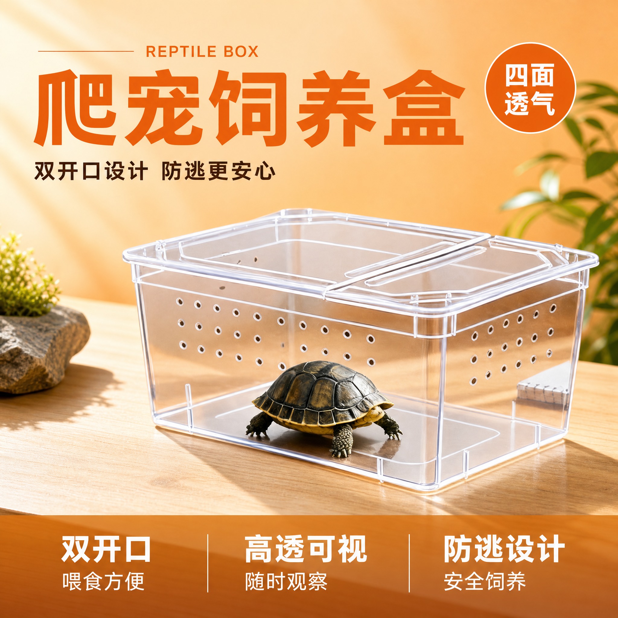 [主图-1] 爬宠饲养盒首图-双开口防逃 乌龟场景首图。 [氛… - 图片创意预览