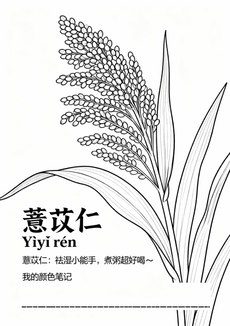 以下是针对 **36种常见中草药填色画** 的更新版设计指示语，适用于“成果长廊”展区或“互动体验区”作为学生填色与学习素材，延续 **清晰手绘线稿风格 + 趣味知识标注** 的设计方向。

---预览效果