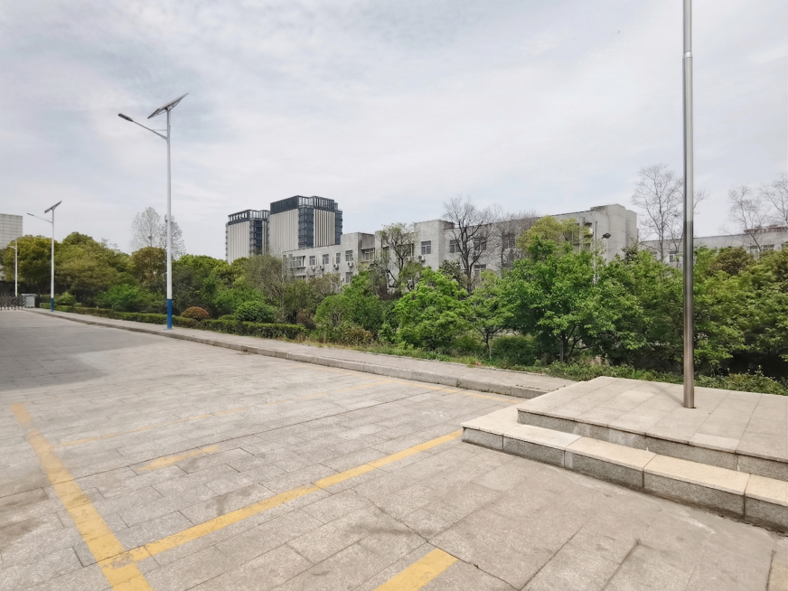移除图片中所有蓝色的宣传栏和宣传内容，保留原场景，填充与周边环境一致的树木和天空，保持照片整体风格和光影一致预览效果