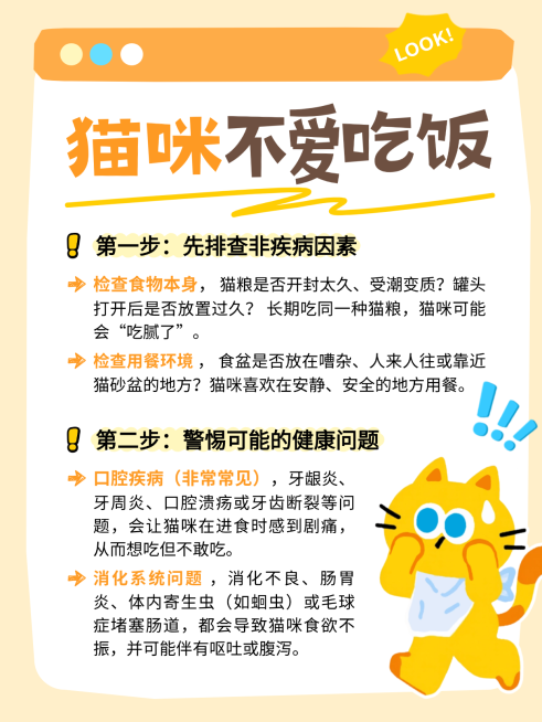 宠物科普指南可爱插画风爆款小红书配图预览效果