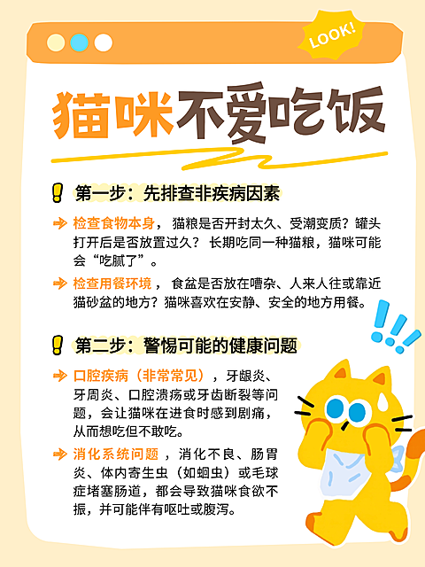 宠物科普指南可爱插画风爆款小红书配图