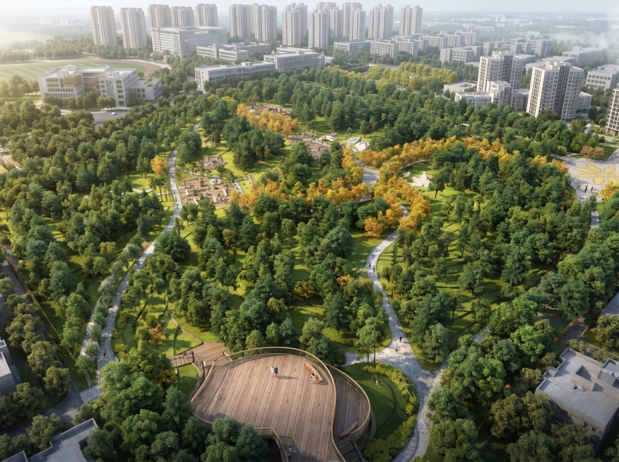 一点透视俯瞰园林效果图，站在桂月观景台居高临下望向社区与校园方向，前景是环形防腐木观景平台与简约护栏，中景山丘松林郁郁葱葱，金桂步道如金色丝带蜿蜒穿行林间，山腰休憩平台、健身场地清晰可见，远景是错落的预览效果