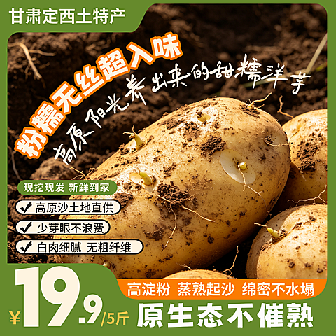 农特产品土豆电商零售主图