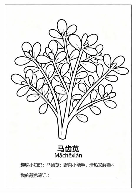 以下是针对 **36种常见中草药填色画** 的更新版设计指示语，适用于“成果长廊”展区或“互动体验区”作为学生填色与学习素材，延续 **清晰手绘线稿风格 + 趣味知识标注** 的设计方向。

---预览效果