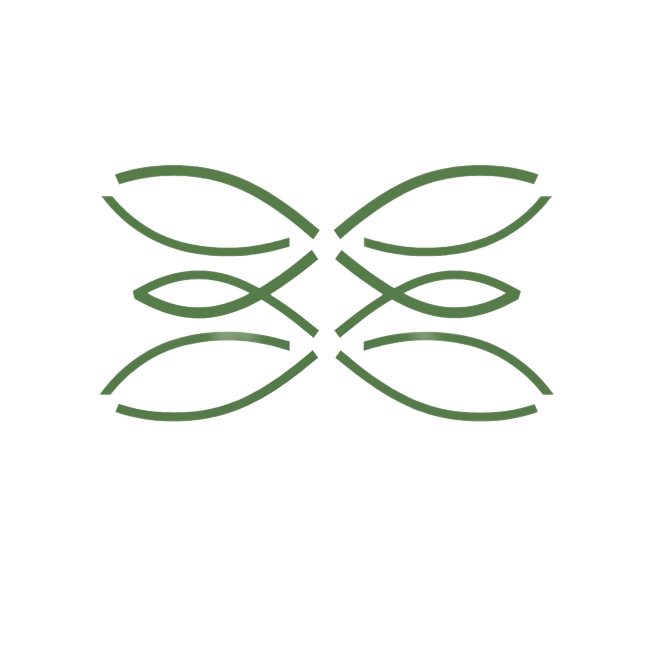 将图中所有黑色线条的颜色改为参考图中的深绿色，保持图形样式、线条粗细和白色背景不变预览效果