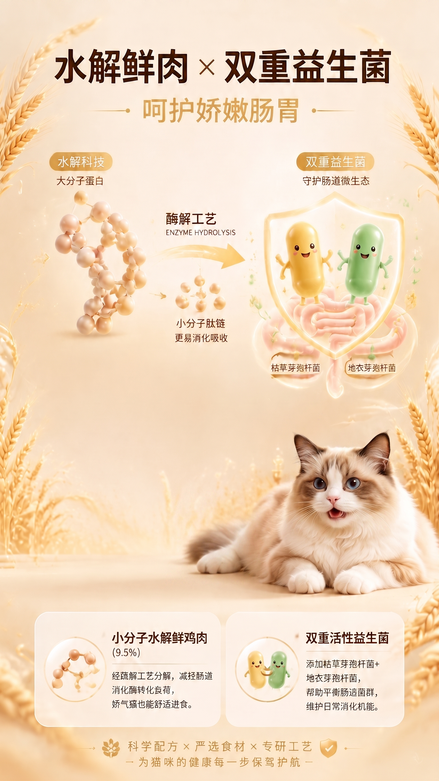 图片中猫咪眼睛调整为睁开状态，表情开心样子，其它内容保持不变 - 图片创意预览