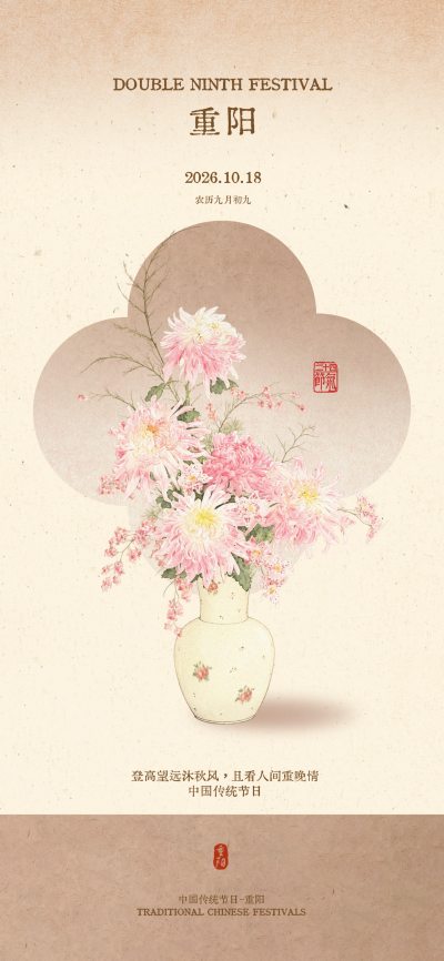 粉菊重阳节1