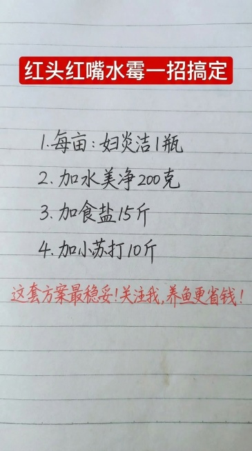 参照原图的字体风格和颜色，替换图片内容为新文案，一字不差：红色标题框白色大字“红头红嘴水霉一招搞定”，下方黑色手写体依次是“1.每亩：妇炎洁 1 瓶
2.加水美净 200 克
3.加食盐 15 斤
4预览效果