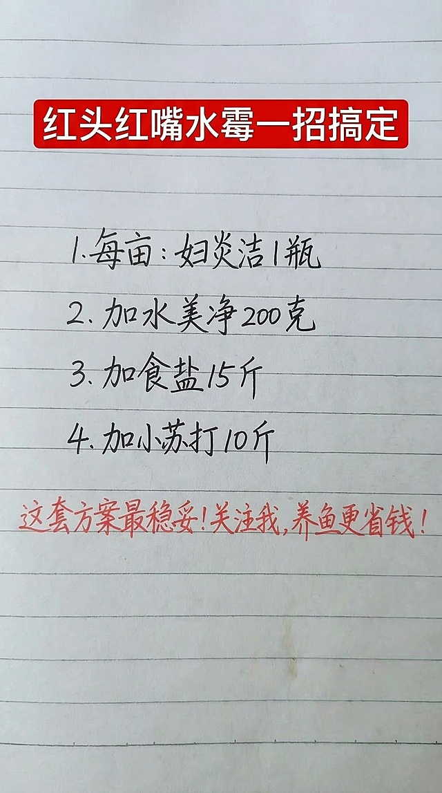 参照原图的字体风格和颜色，替换图片内容为新文案，一字不差：红色标题框白色大字“红头红嘴水霉一招搞定”，下方黑色手写体依次是“1.每亩：妇炎洁 1 瓶
2.加水美净 200 克
3.加食盐 15 斤
4.加小苏打 10 斤”，最后一行红色手写体“这套方案最稳妥！关注我，养鱼更省钱！”，保持排版布局合理，背景为横格笔记本纸，保持原图整体风格不变