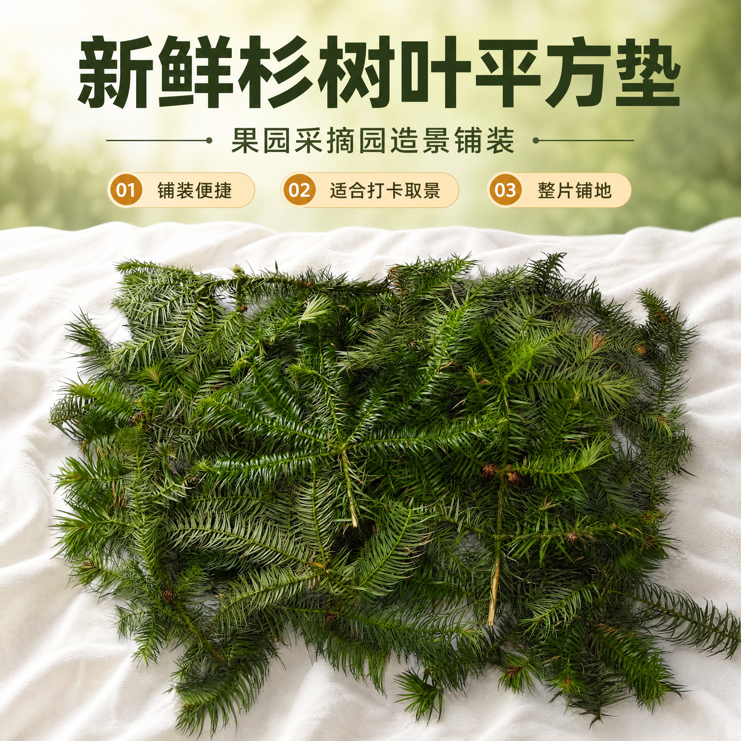 [商品] 使用【图1】【图4】【图5】新鲜杉树叶平方垫实物的整… - 图片创意预览