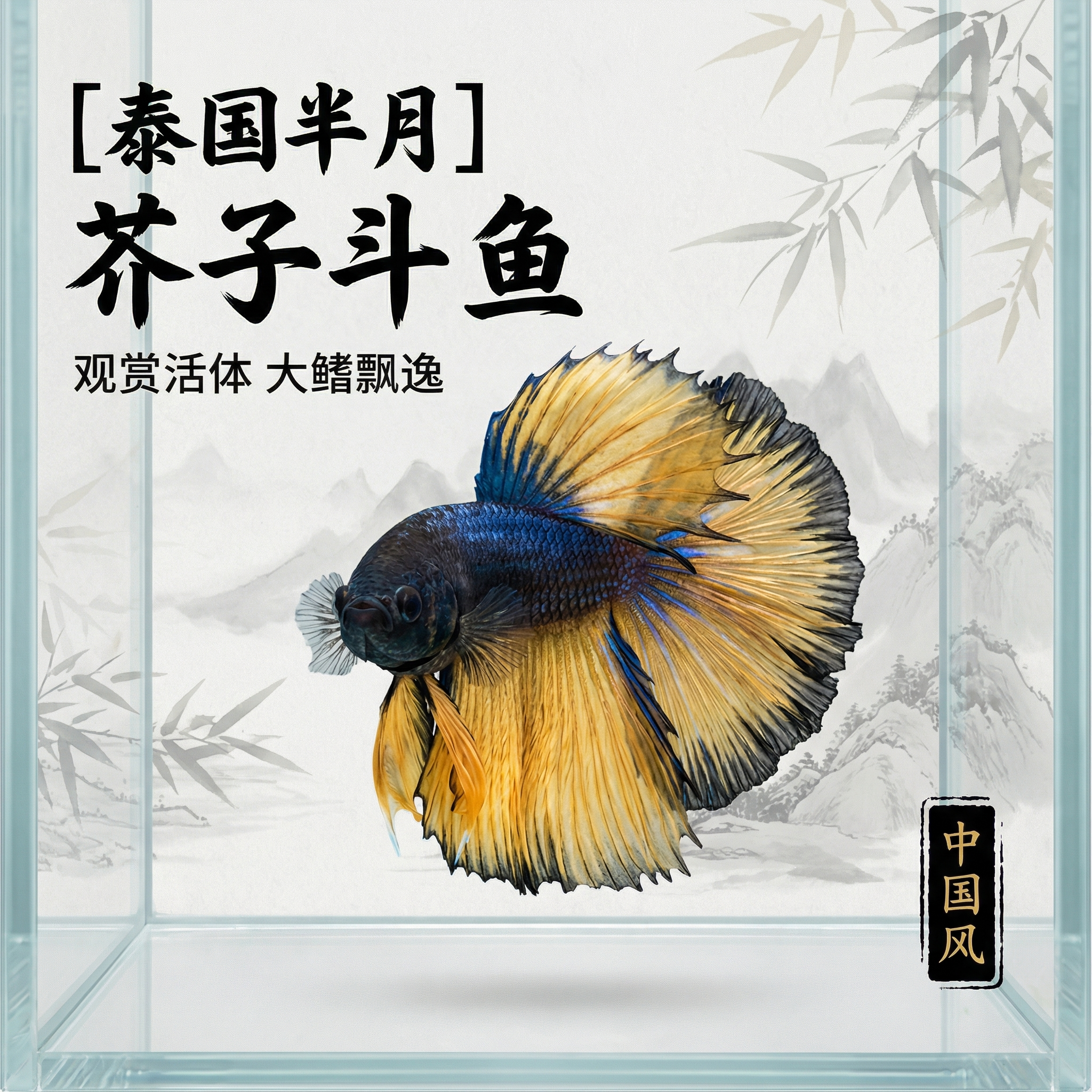 创意预览图