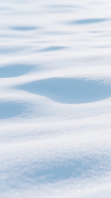 纯净的雪地背景，呈现细腻的白色与淡蓝色渐变纹理，表面有自然形成的细微起伏和柔和阴影，整体风格干净简约，光线明亮均匀，无任何杂物或文字元素，适合作为背景使用的平铺式雪景画面。预览效果