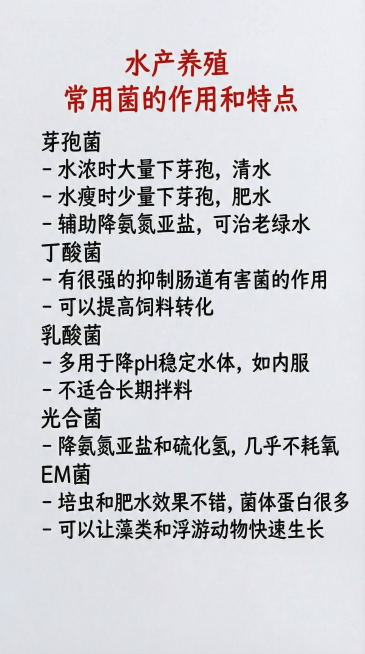 预览效果