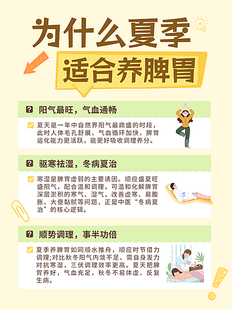 夏日健脾养胃养生理念分享干货科普小红书配图