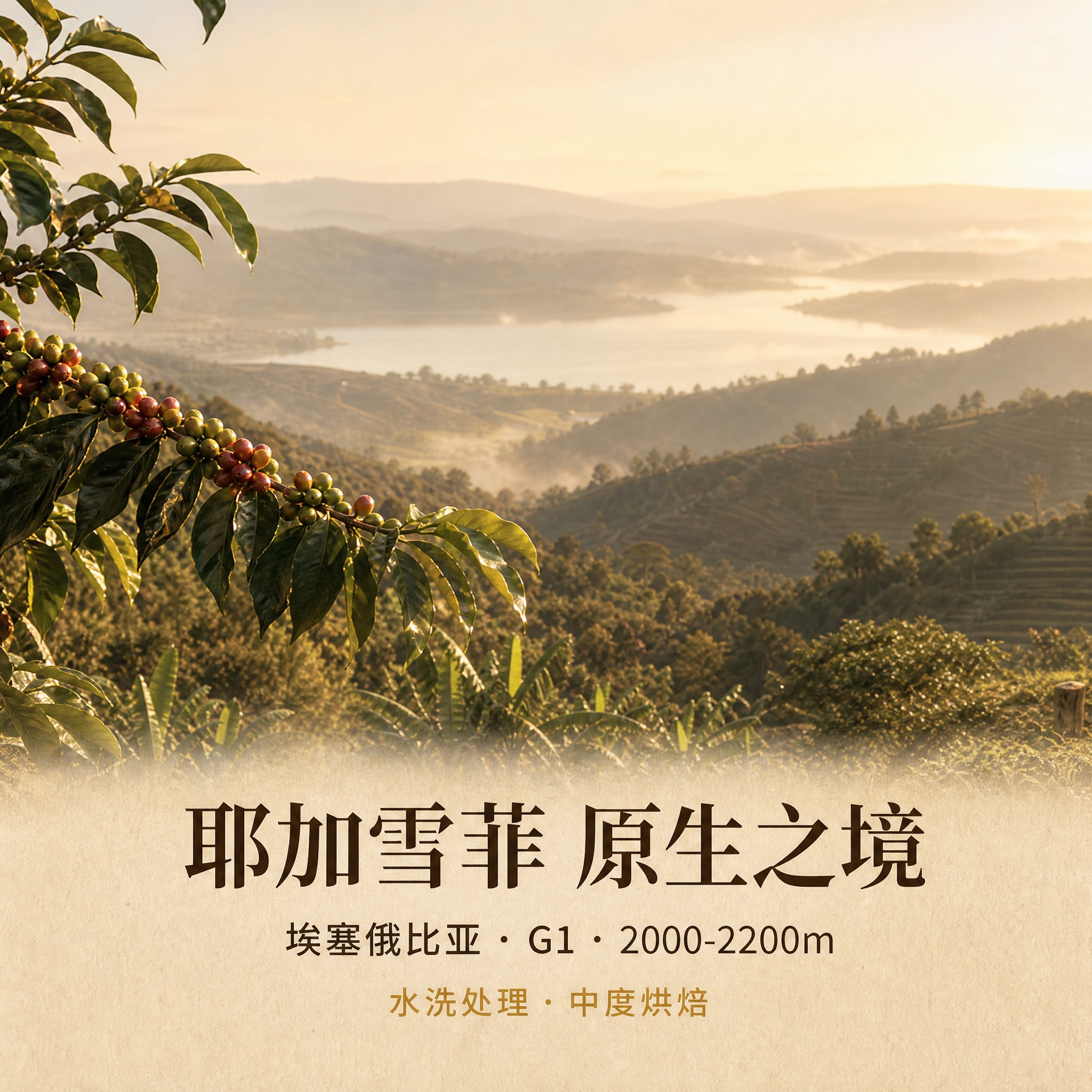 800×800 淘宝天猫电商主图，高级纪实风景摄影，1:1正方… - 图片创意预览