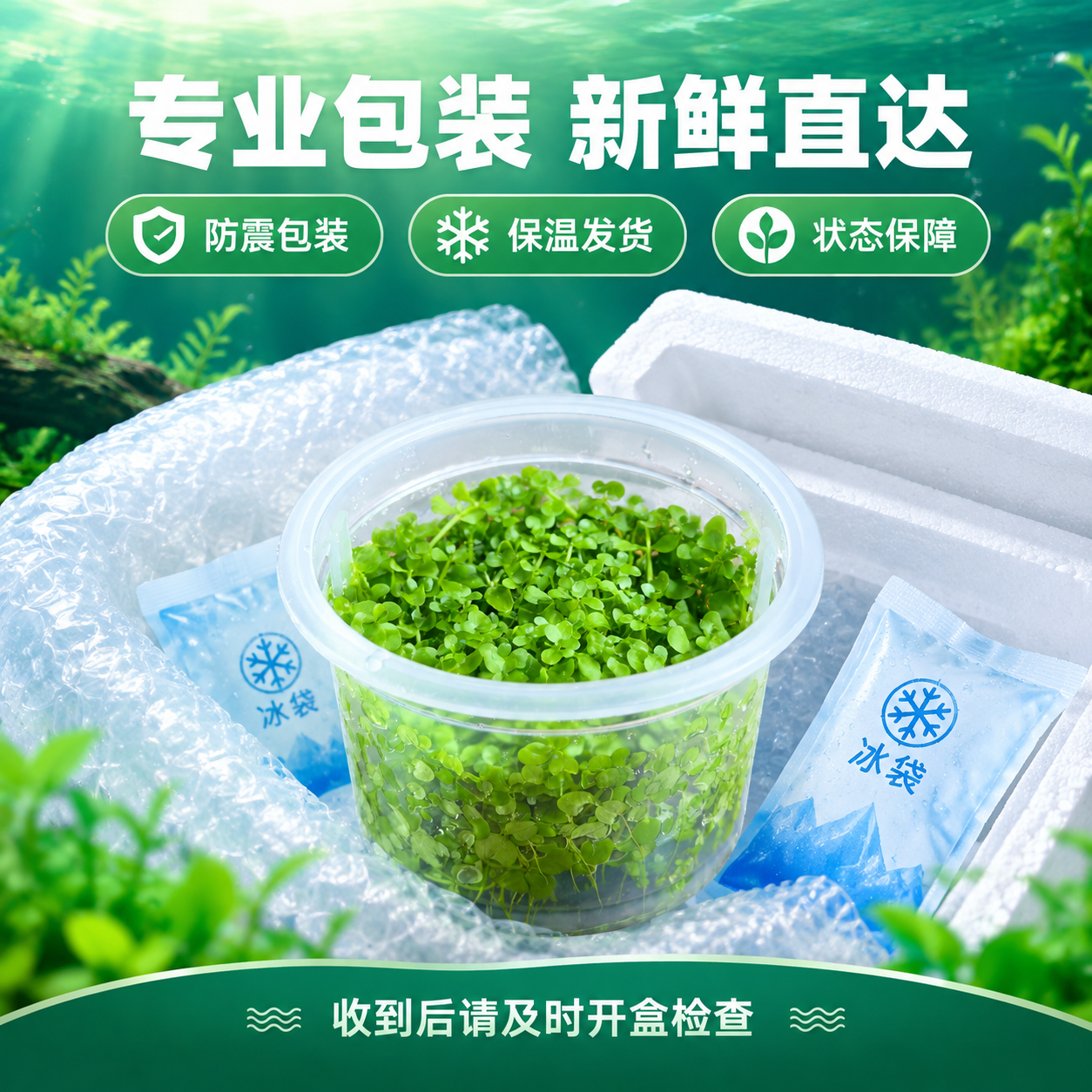 [主图-10] 包装与发货，主题：专业包装 新鲜发货。 [统一… - 图片创意预览