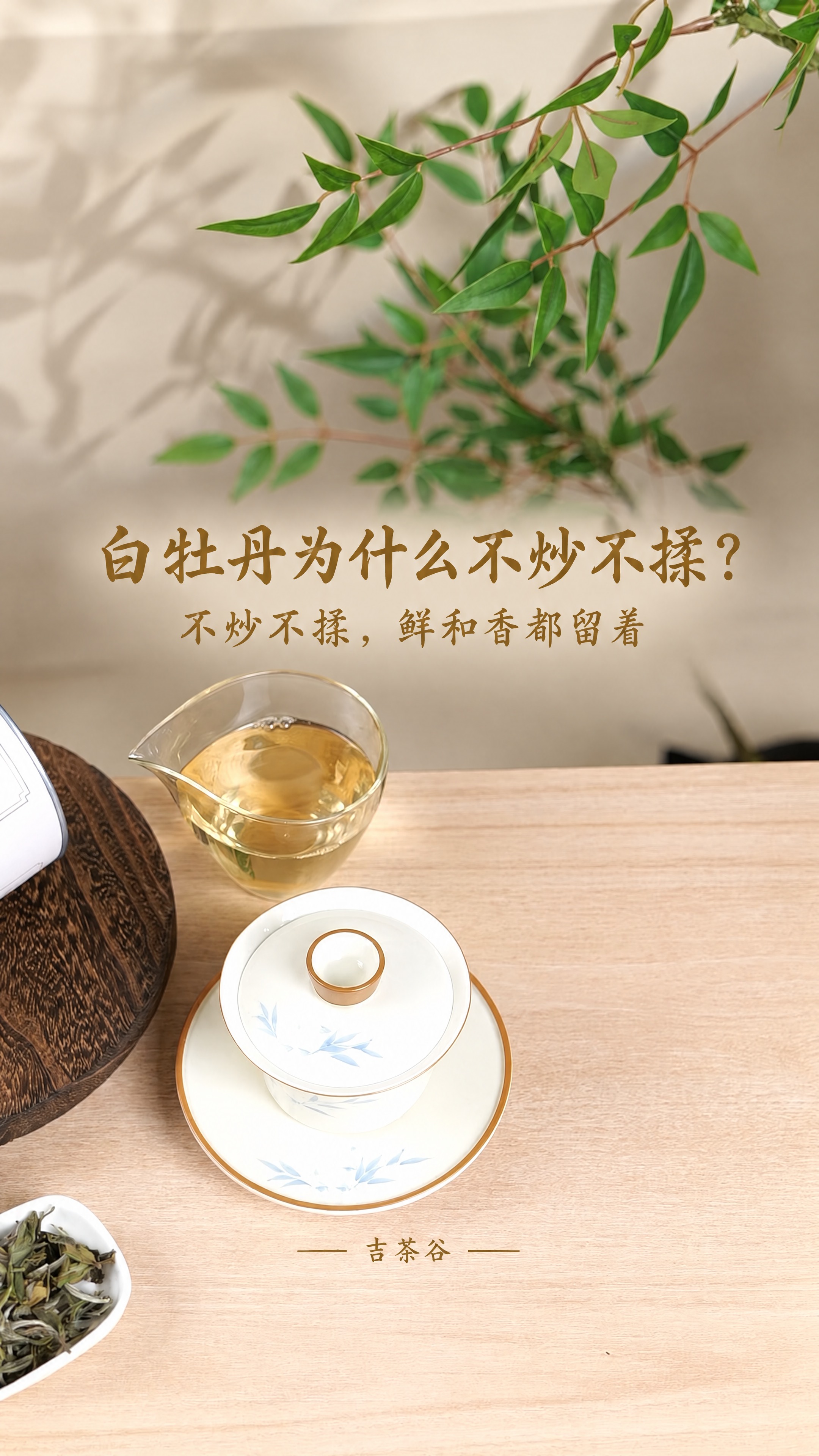基于这张茶主题图片进行修改，保持背景完全原样不变，适配抖音短视… - 图片创意预览