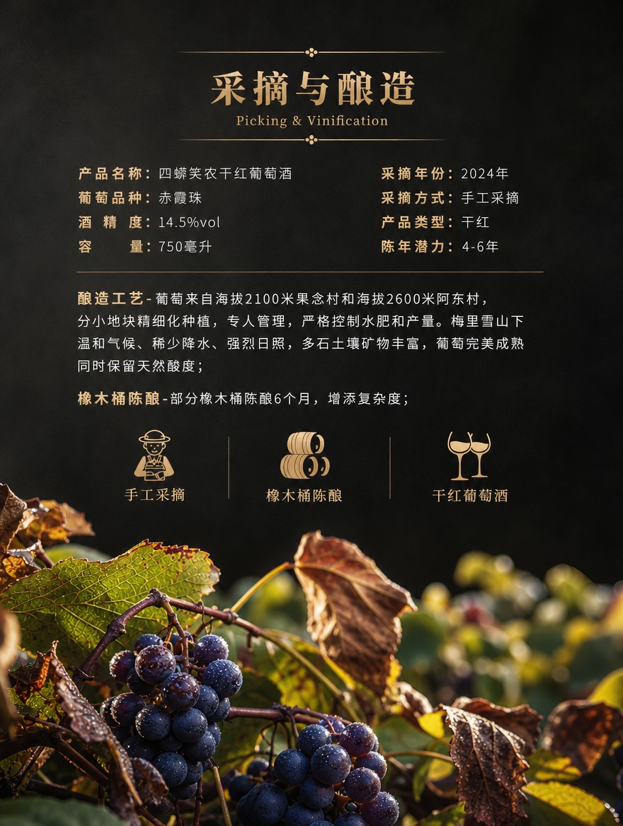[商品] 本页为种植与酿造工艺页，使用【图6】葡萄藤与葡萄果实… - 图片创意预览