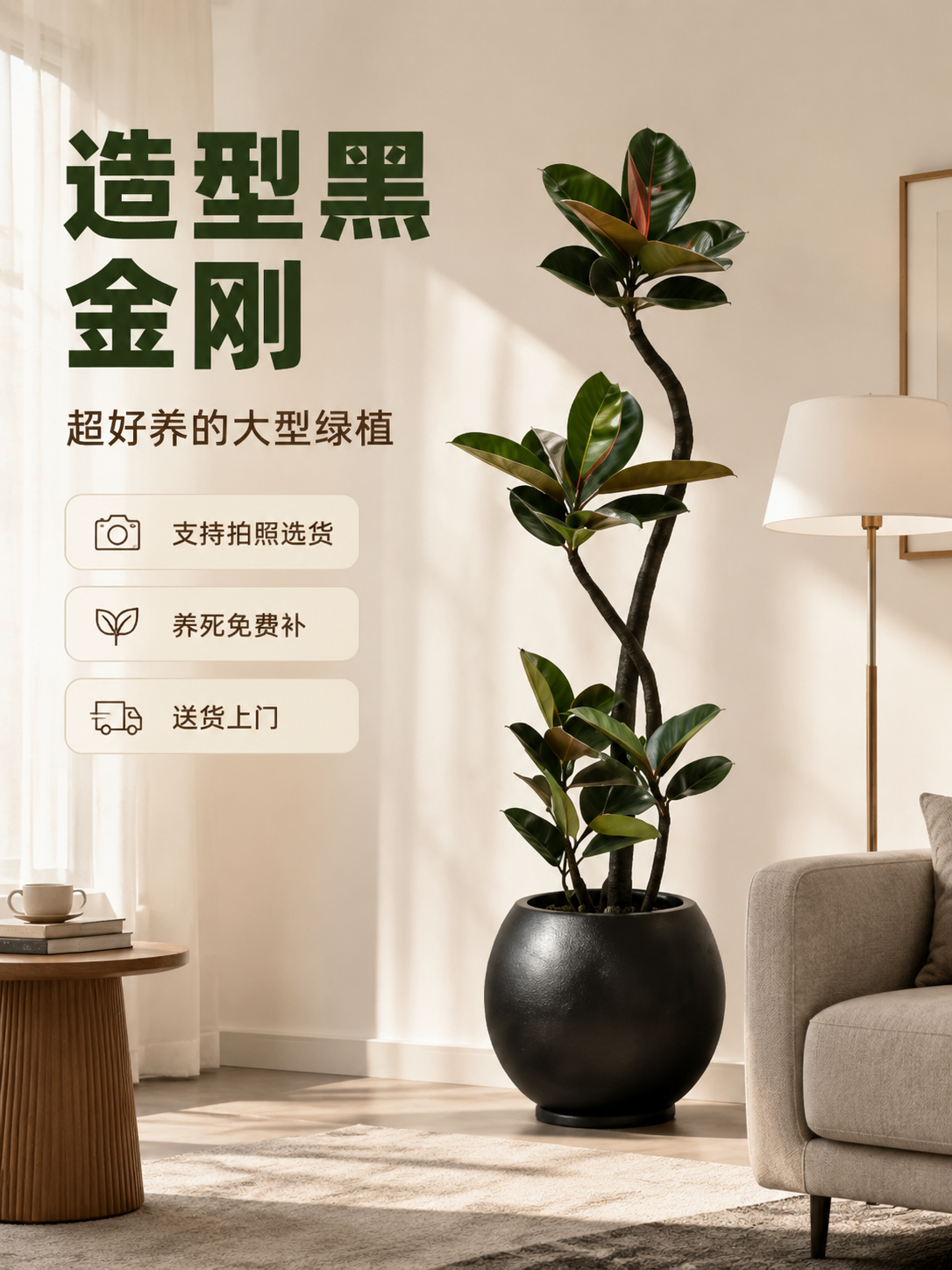 [主图-1] 空间氛围与单品呈现，突出造型黑金刚橡皮树大型室内… - 图片创意预览