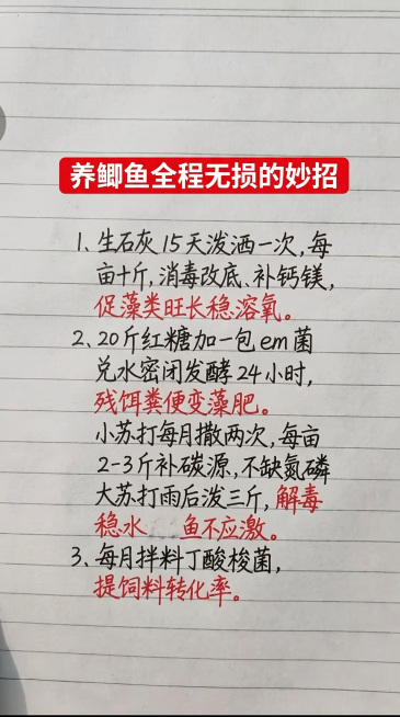 基于参考图片，保留纸张底纹、红色标题框的排版，保持黑色和红色手写字体风格不变，一字不差替换全部内容为新文案：标题是红色框白色字"养鲫鱼全程无损的妙招"，内容如下：1、生石灰 15 天泼洒一次，每亩十斤预览效果