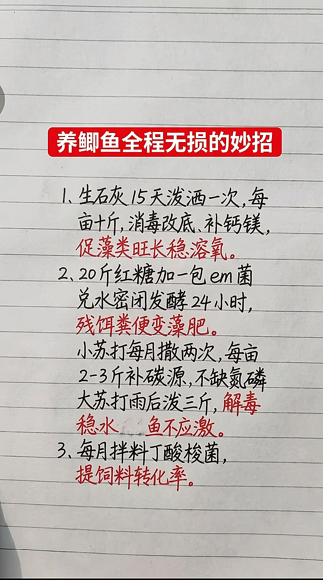 基于参考图片，保留纸张底纹、红色标题框的排版，保持黑色和红色手写字体风格不变，一字不差替换全部内容为新文案：标题是红色框白色字"养鲫鱼全程无损的妙招"，内容如下：1、生石灰 15 天泼洒一次，每亩十斤，消毒改底、补钙镁，促藻类旺长稳溶氧。2、20 斤红糖加一包 em 菌 兑水密闭发酵 24 小时，残饵粪便变藻肥。小苏打每月撒两次，每亩 2-3 斤补碳源，不缺氮磷 大苏打雨后泼三斤，解毒稳水鱼不应激。3、每月拌料丁酸梭菌，提饲料转化率。排版和原图片一致，重点文字用红色标注，布局合理，保持原图片整体样式不变