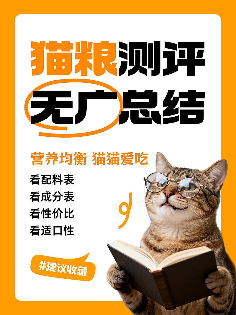 宠物食品猫粮测评分享猫咪大字小红书封面