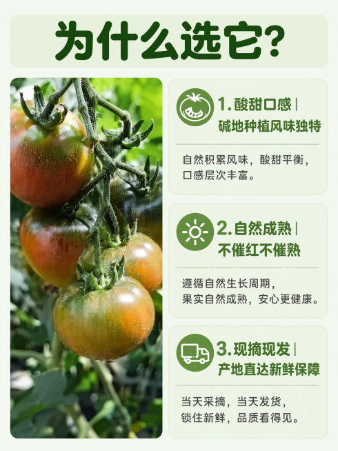 [第5屏] 核心卖点拆解-三大核心理由介绍。
[氛围/风格] 清爽信息风，干净利落，图文结合清晰好读。
[元素布局] 左侧放置图1挂果参考图，占据画面40%宽度，保持果实外观颜色不变；右侧纵向排列三个预览效果