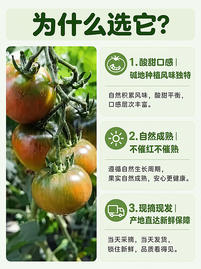 [第5屏] 核心卖点拆解-三大核心理由介绍。
[氛围/风格] 清爽信息风，干净利落，图文结合清晰好读。
[元素布局] 左侧放置图1挂果参考图，占据画面40%宽度，保持果实外观颜色不变；右侧纵向排列三个卖点，每个卖点配小图标、短标题和说明，从上到下依次排列。背景保持浅绿整体统一，每个卖点用浅色圆角卡片承载。
[光影质感] 均匀柔和自然光，图文都清晰可读，无强烈阴影。
[配色色系] 全局底色：#F2F9F0（浅草绿）；主体配色：和前屏保持一致，卡片用#EEF7E9浅绿，文字用深绿和白色。
[视角构图] 左图右文横分栏，构图平衡，信息层级清晰。
[文字版式] 顶部通栏大标题「为什么选它？」，深绿色圆角粗体。三个卖点依次：1.「酸甜口感｜碱地种植风味独特」；2.「自然成熟｜不催红不催熟」；3.「现摘现发｜产地直达新鲜保障」。每个卖点图标+标题+说明，清晰排版，不遮挡左侧产品图。字形字色字效沿用首屏设定：圆角黑体，双色，纯色填充。
[比例分辨率] 3:4 竖版比例，4K分辨率，文字清晰可辨，超高清。
[负向提示词] 图文错位，文字模糊，颜色混杂，果实变形，水印，排版杂乱。