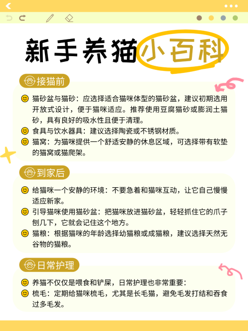 黄色卡通新手养猫小百科知识分享小红书内页预览效果