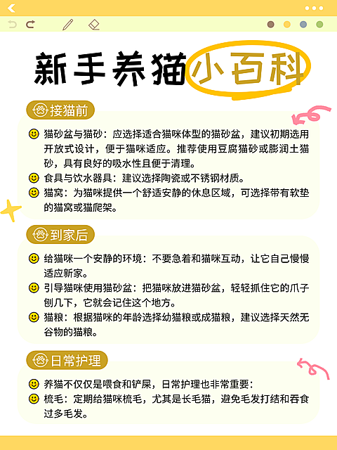 黄色卡通新手养猫小百科知识分享小红书内页