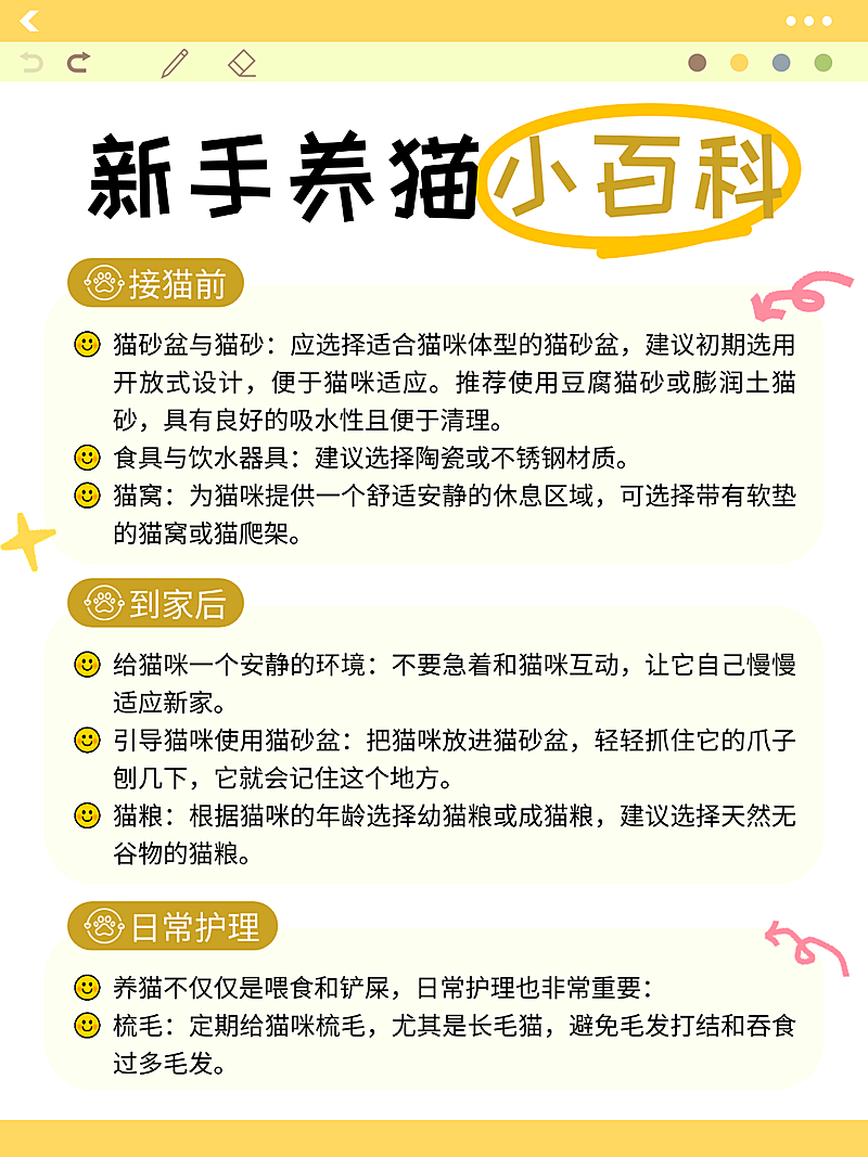 黄色卡通新手养猫小百科知识分享小红书内页