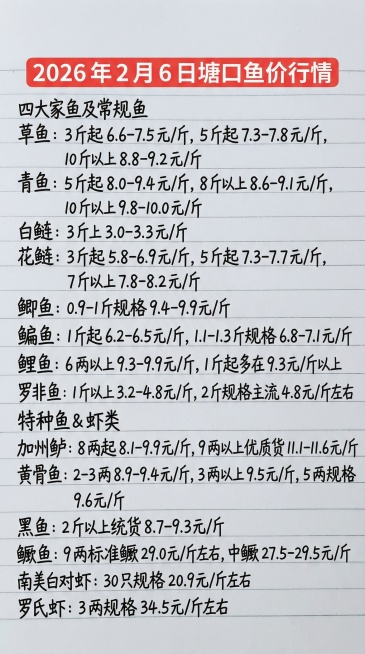 2026 年 2 月 6 日塘口鱼价行情
四大家鱼及常规鱼
草鱼：3 斤起 6.6-7.5 元 / 斤，5 斤起 7.3-7.8 元 / 斤，10 斤以上 8.8-9.2 元 / 斤
青鱼：5 斤起预览效果