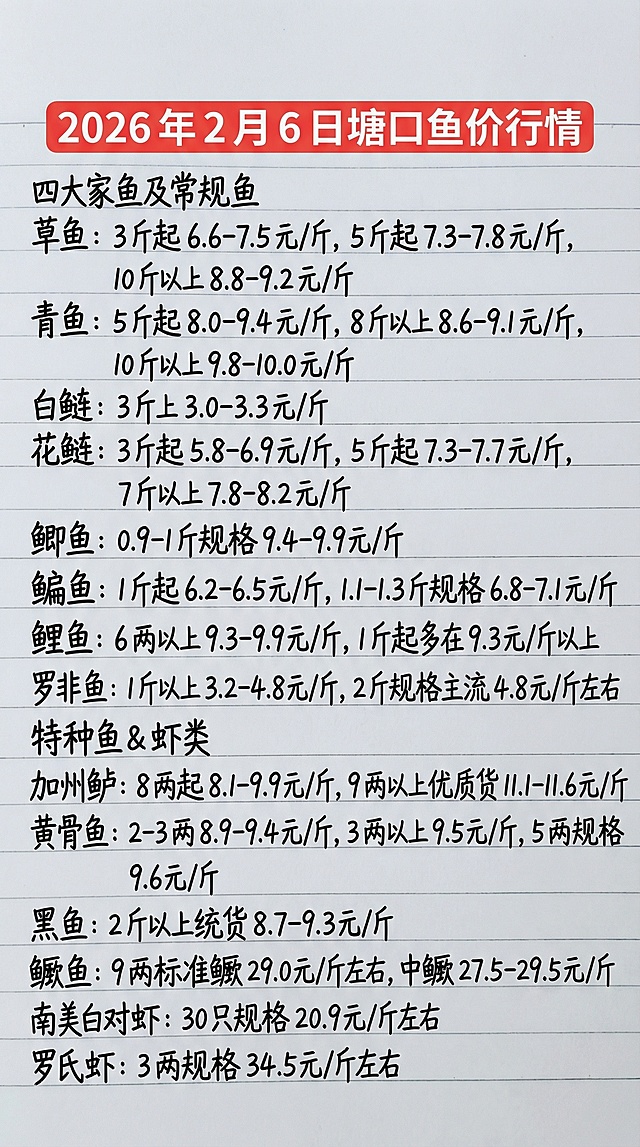 2026 年 2 月 6 日塘口鱼价行情
四大家鱼及常规鱼
草鱼：3 斤起 6.6-7.5 元 / 斤，5 斤起 7.3-7.8 元 / 斤，10 斤以上 8.8-9.2 元 / 斤
青鱼：5 斤起 8.0-9.4 元 / 斤，8 斤以上 8.6-9.1 元 / 斤，10 斤以上 9.8-10.0 元 / 斤
白鲢：3 斤上 3.0-3.3 元 / 斤
花鲢：3 斤起 5.8-6.9 元 / 斤，5 斤起 7.3-7.7 元 / 斤，7 斤以上 7.8-8.2 元 / 斤
鲫鱼：0.9-1 斤规格 9.4-9.9 元 / 斤
鳊鱼：1 斤起 6.2-6.5 元 / 斤，1.1-1.3 斤规格 6.8-7.1 元 / 斤
鲤鱼：6 两以上 9.3-9.9 元 / 斤，1 斤起多在 9.3 元 / 斤以上
罗非鱼：1 斤以上 3.2-4.8 元 / 斤，2 斤规格主流 4.8 元 / 斤左右
特种鱼 & 虾类
加州鲈：8 两起 8.1-9.9 元 / 斤，9 两以上优质货 11.1-11.6 元 / 斤
黄骨鱼：2-3 两 8.9-9.4 元 / 斤，3 两以上 9.5 元 / 斤，5 两规格 9.6 元 / 斤
黑鱼：2 斤以上统货 8.7-9.3 元 / 斤
鳜鱼：9 两标准鳜 29.0 元 / 斤左右，中鳜 27.5-29.5 元 / 斤
南美白对虾：30 只规格 20.9 元 / 斤左右
罗氏虾：3 两规格 34.5 元 / 斤左右
参照图片字体和颜色，用上面内容替换生成新的内容，要求排版布局合理，一字不差。