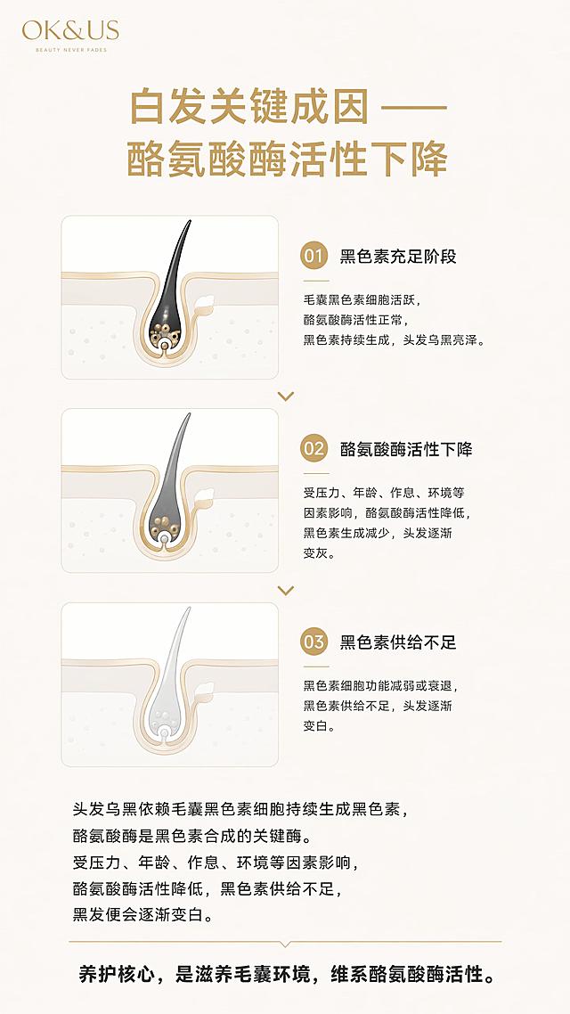 使用商品详情页技能根据商品图「图片1」「图片1」生成详情页，参考图为，商品名称为OK&US 复合肽多效养发乳，卖点为根源养护，非染发剂：区别于化学染发，通过滋养毛囊环境、维系酪氨酸酶活性，营造黑色素生成的健康条件，三步循序润丝、赋能、强韧发根，从发根改善白发状态。 植萃 + 进口原料：何首乌、黑灵芝、人参、生姜根等 13 种养发植萃复配；搭配马来西亚甘油、日本生育酚、新加坡润肤成分等多国进口原料，温和亲肤。 双专利硬核背书：持有两项国家发明专利，高提纯工艺锁住植萃活性，兼顾养护效果与头皮低刺激性。 免洗便捷易用：免洗配方，洗发后即可居家操作，护理无门槛；适配少年白、中年白、压力白、孕后白等多类白发人群，同步修护受损发质。，适配平台为淘宝/天猫，图片比例为9:16，需求屏数为10-12张，OK&US 复合肽多效养发乳 详情页设计需求 一、整体设计规范 风格定位 简约轻奢高级风，走高端头皮护理产品线质感，低饱和克制审美，拒绝花哨堆砌与廉价促销感，兼顾专业信赖度与植萃天然感，适配私域商城、朋友圈长图传播。 核心配色 主背景：柔雾米白（通体底色，保证画面亮调通透，不压制产品） 强调色：暖香槟金（标题、图标、分割线、品牌标识，提升高级质感） 重心色：哑光炭黑（产品本身黑金配色为视觉核心，不额外加深色背景） 点缀色：低饱和灰绿（仅植萃模块少量使用，呼应天然成分属性） 通用规则 每页左上角固定放置OK&US 暖金色品牌 logo，尺寸与位置统一规整 大面积留白，排版疏朗，单屏信息不拥挤，核心信息一眼可读 产品图始终为视觉核心，背景、装饰仅作衬托，不抢夺注意力 文字层级清晰：大标题、副标题、正文、备注字号区分明确，采用简约无衬线字体 全程合规表述，规避极限词与医疗功效类描述，与外包装信息保持统一 二、分屏详细需求（共 12 屏，按浏览顺序排列） 第 1 屏 首屏 KV・上新主视觉 视觉：画面 C 位大比例立体展示 OK&US 黑金瓶身 + 外包装盒组合，正面柔光打亮，清晰呈现烫金质感与包装细节；背景为纯柔雾米白，角落点缀极淡金箔粒子与植萃虚影，干净通透。 文案： 主标题（暖金加粗）：根源养发 改善白发 副标题：OK&US 复合肽多效养发乳 全新升级 标签栏：双重发明专利 | 全球甄选原料 | 植萃复配配方 | 非化学染发剂 | 免洗便捷护理 备注：本品为头皮毛发护理产品，养护效果因人而异 第 2 屏 痛点唤醒・全龄段白发困扰 视觉：6 组浅米色圆角卡片横向排布，每张配对应白发人群低调写实图，不渲染过度焦虑，整体整齐干净。 文案： 板块标题：白发悄悄找上门 你是否也被困扰 6 类人群：少年白发 | 中年白发 | 老年白发 | 压力白发 | 孕后白发 | 后天护理不当白发 收尾：发丝泛白拉垮气质，频繁染发治标不治本。改善白发，别再只依赖一次性表面染色。 第 3 屏 避坑科普・黑发护理误区 视觉：4 张横向浅金边框卡片，搭配极简线性图标，对称规整，无多余装饰。 文案： 板块标题：黑发护理 避开这些弯路 卡片内容： ❌ 化学染发：仅表层染色，反复刺激头皮毛囊 ❌ 内服调理：作用路径长，易增加身体代谢负担 ❌ 单一食疗：仅作营养补充，难直达发根毛囊 ❌ 民间偏方：无标准配方，安全性无法保障 总结：改善白发的核心是养护毛囊，温和外用护理更安全可控。 第 4 屏 原理拆解・白发形成核心 视觉：3 张极简毛囊演变示意图，线性风格，配色统一为米白 + 金 + 浅灰，清晰易懂。 文案： 板块标题：白发关键成因 —— 酪氨酸酶活性下降 科普正文： 头发乌黑依赖毛囊黑色素细胞持续生成黑色素，酪氨酸酶是黑色素合成的关键酶。受压力、年龄、作息、环境等因素影响，酪氨酸酶活性降低，黑色素供给不足，黑发便会逐渐变白。 核心结论：养护核心，是滋养毛囊环境，维系酪氨酸酶活性。 第 5 屏 作用逻辑・三步循序养护 视觉：纵向三步递进结构，搭配对应极简毛囊作用示意图，每步用细金线分隔，层次清晰。 文案： 板块标题：三层滋养 从发根改善发质 三步内容： ① 养发润丝：多重植萃营养直达头皮，优化毛囊微环境，舒缓干枯毛躁发丝。 ② 修护赋能：持续滋养毛囊细胞，助力维持酪氨酸酶活性，营造黑色素生成的健康环境。 ③ 强韧发根：深层补给发根养分，强韧发丝结构，稳固健康秀发状态。 第 6 屏 植萃复配・天然养发能量 视觉：四大核心成分左右对称排布，配干净原料实拍图，置于浅米色圆台之上，背景纯净，突出原料质感。 文案： 板块标题：甄选植萃成分 温和滋养头皮 核心成分： ▫️ 何首乌：经典养发成分，呵护发丝状态 ▫️ 生姜根：舒缓头皮环境，活化毛囊组织 ▫️ 黑灵芝：丰富营养滋养毛囊，补给发根 ▫️ 人参根：修护受损发丝，焕亮干枯发质 补充：复配小球藻、槐花、麦冬根、黑桑果、母菊花、艾叶、牛蒡根、蜂胶、莼菜等多重养发植萃。 第 7 屏 进口原料・全球品质加持 视觉：4 张纵向浅金卡片并列，配极简产地标识，排版工整，无多余装饰。 文案： 板块标题：多国进口原料 科学复配增效 原料明细： ▪️ 马来西亚・甘油：修护头皮角质屏障，保湿柔润 ▪️ 日本・氢化聚异丁烯、生育酚（维 E）：抗氧化，长效滋养头皮 ▪️ 泰国・鲸蜡硬脂醇：柔顺发丝，改善干涩毛躁 ▪️ 新加坡・辛酸 / 癸酸甘油三酯：调节头皮水油，增强屏障功能 标语：绿色配方、高效吸收、温和亲肤 第 8 屏 专利背书・硬核实力保障 视觉：左右双栏对称布局，放置专利证书简约效果图，证书清晰不杂乱，下方配文字说明。 文案： 板块标题：双重国家发明专利 品质有据可依 专利一 专利号：ZL201711306706.0 专利名：一种用于缓解皮肤刺激的化妆品组合物及其制备方法 价值：植萃成分协同作用，同时舒缓头皮、降低刺激，兼顾功效与温和性。 专利二 专利号：ZL202110101057.0 专利名：一种植物提取物纯化方法 价值：高纯度提纯植萃原料，锁住有效成分活性，保障作用效果。 第 9 屏 使用场景・居家养发护理 视觉：明亮轻奢梳妆台场景，米白色台面、暖柔光线，整体干净高级。女性头发吹至八成干，佩戴一次性手套，正将产品均匀涂抹于发根发丝，动作自然日常。桌面清晰露出 OK&US 黑金瓶身与外包装盒，搭配梳子、毛巾等小物件，少量植萃叶片点缀。 文案： 板块标题：日常居家养发护理 副标题：像护发一样简单，像护肤一样温和 正文：不用频繁染烫，不用复杂操作。洗完头发后，轻松完成头皮与发丝养护。 标签：免洗配方｜居家可用｜日常护理｜头皮发丝同养 第 10 屏 使用方法・居家轻松护理 视觉：4 步横向排布，配极简线性步骤图标，浅米色卡片承载，清晰易读。 文案： 板块标题：简单 4 步 日常护理零门槛 步骤： 清洁：用洗发水洗净头发，吹至八成干 取量：佩戴一次性手套，取适量养发乳于掌心 按摩：均匀涂抹于发根发丝，轻柔按摩 3-5 分钟促进吸收 完成：免洗配方，无需冲洗，自然吹干即可 小贴士：前期建议规律使用；发丝状态改善后，可调整为每次洗头后使用一次。 第 11 屏 搭配推荐・洗护协同增效 视觉：画面居中并排展示两款产品 ——OK&US 复合肽多效养发乳 + OK&US 控油蓬松洗发水，产品打光均匀，质感统一，背景纯净。 文案： 板块标题：洗护组合搭配 养