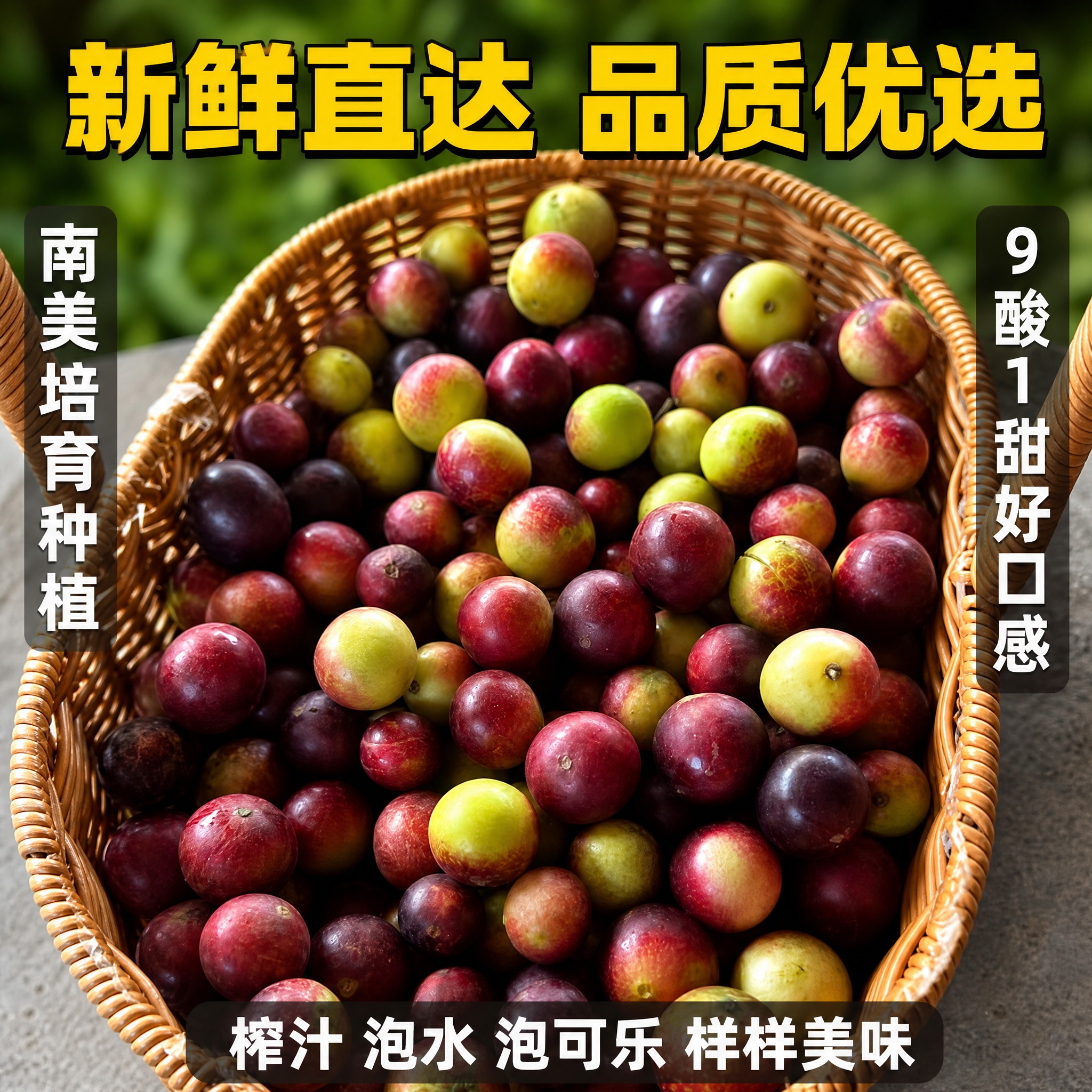 [主图-5] 南美洲培育紫皮鲜果 抖音爆款促销感主图 整篮展示… - 图片创意预览
