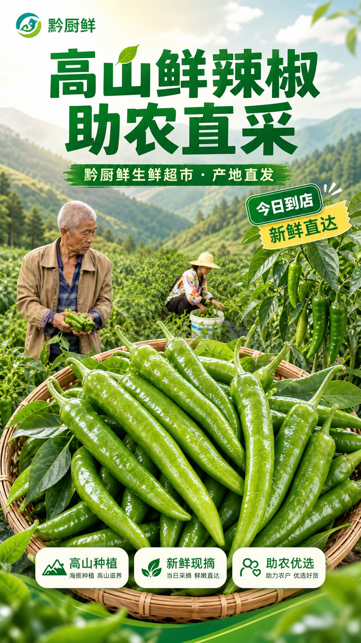 生鲜助农主题电商海报，竖版9:16，适合朋友圈和顾客群发布。画… - 图片创意预览