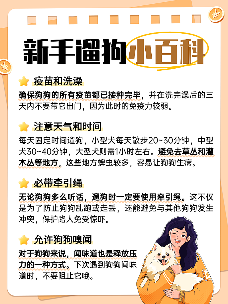 卡通插画风新手遛狗小百科知识分享小红书配图