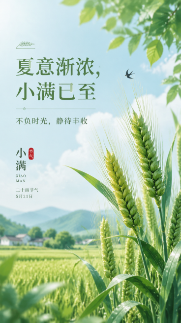 二十四节气小满海报，主标题为“夏意渐浓，小满已至”，副标题为“不负时光，静待丰收”，风格清新自然，夏季田园小满节气元素，麦穗饱满，青绿色调，充满夏日氛围，排版简洁雅致预览效果