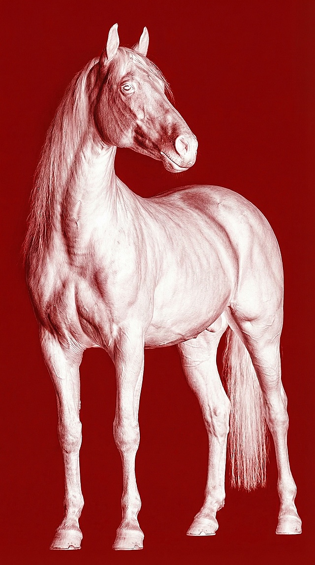古典优雅的单色油画风骏马，重拟物手法呈现细腻肌理，红白对比凸显唯美感，寓意新春祥瑞。
