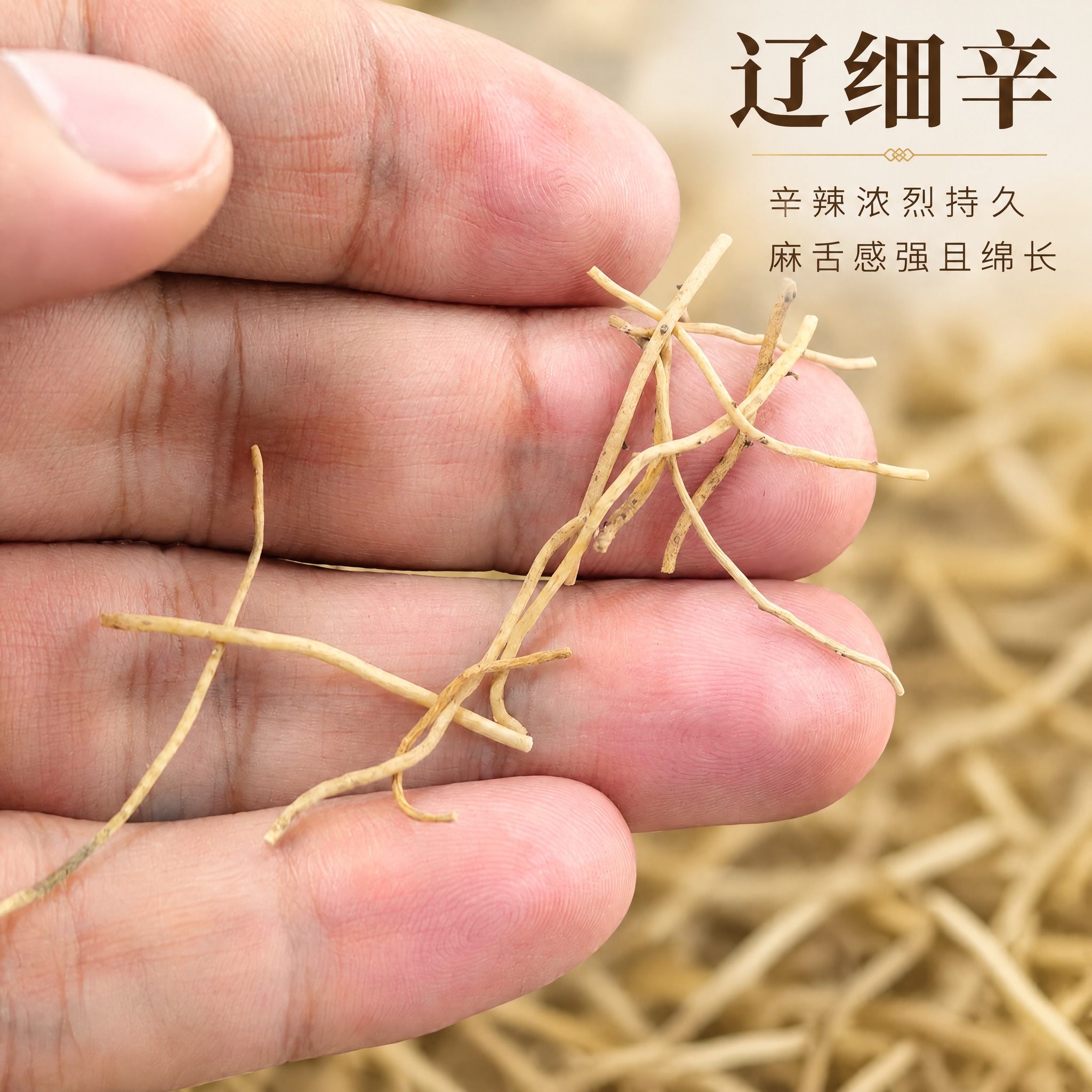 基于上传的辽细辛素材进行主图创作，严格使用上传素材，完整保留原… - 图片创意预览