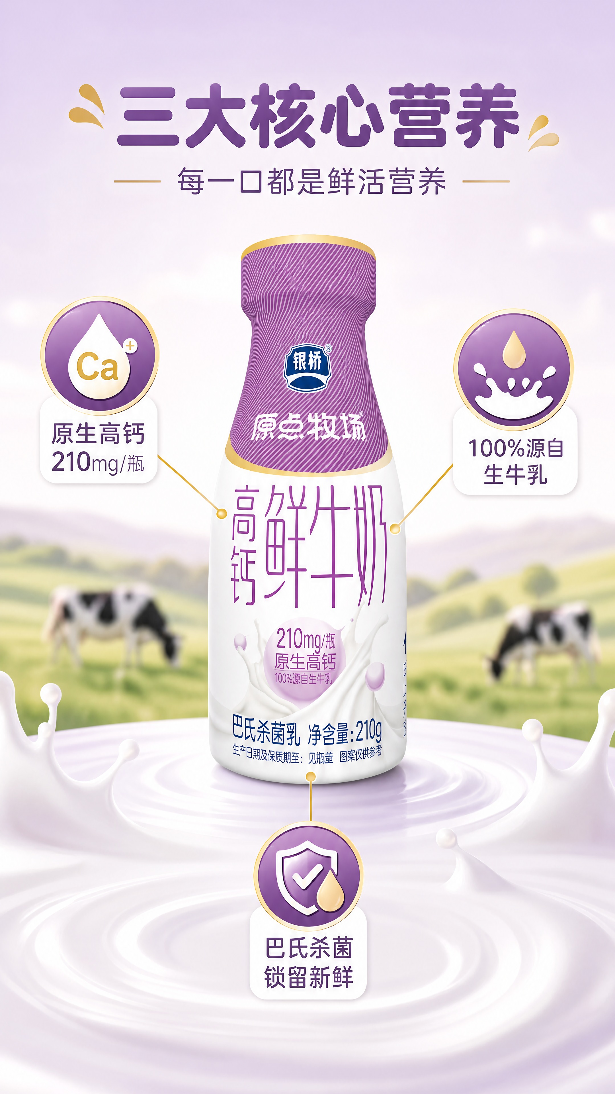 [商品] 使用【图2】银桥原点牧场高钙鲜牛奶瓶装产品；保留瓶身… - 图片创意预览