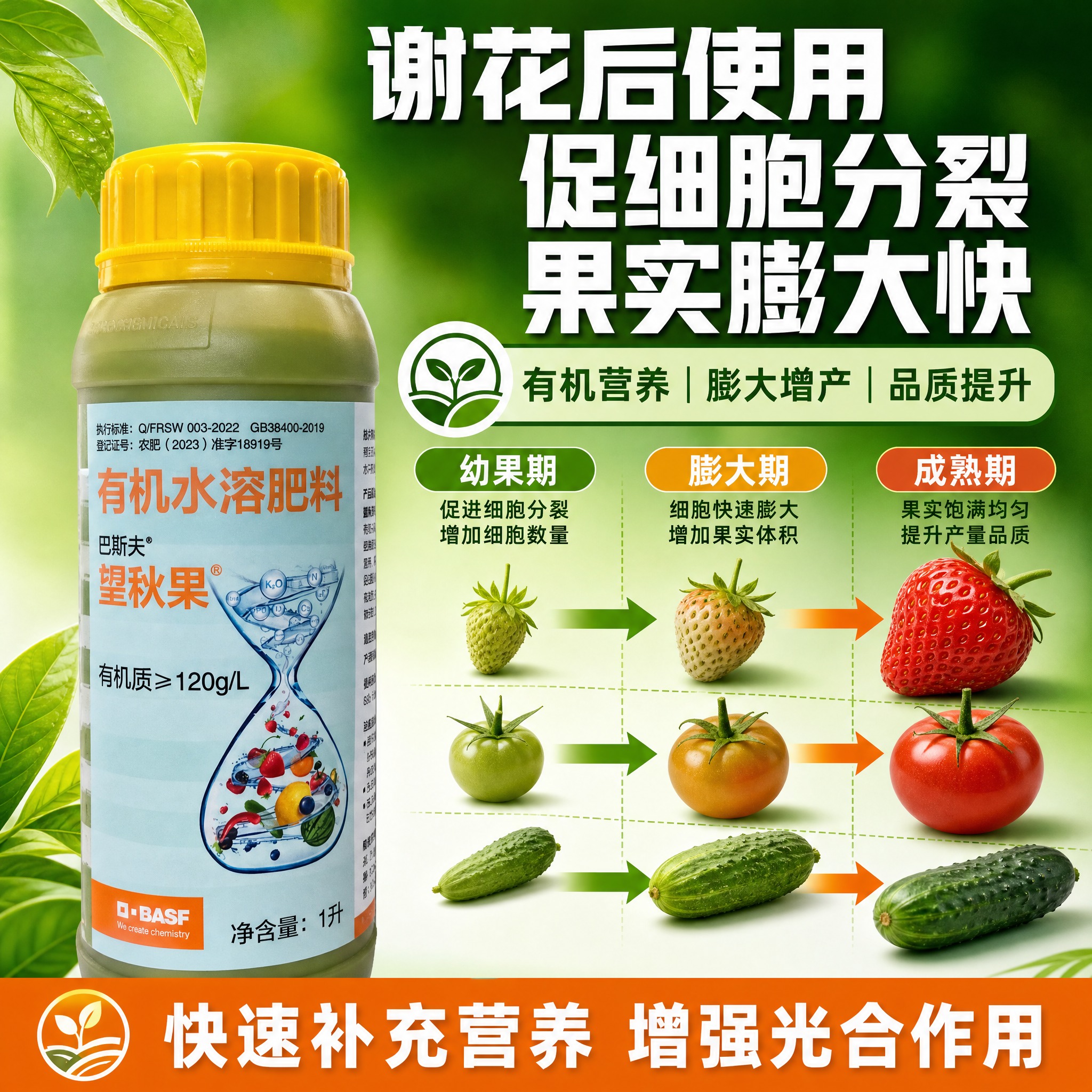 [主图-2] 巴斯夫望秋果有机水溶肥料 核心功效证明 促进果实… - 图片创意预览
