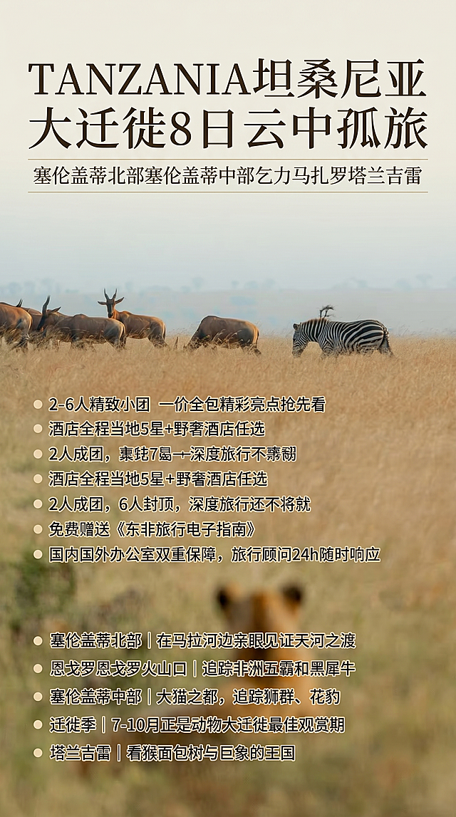制作一张精致清雅风格的坦桑尼亚动物大迁徙旅行海报