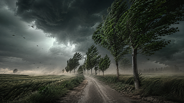 暴雨来临之前，狂风大作，天昏地暗，尘土飞扬，一条土路穿过郁郁葱葱的十几棵绿色植物，深绿色的暴风雨的天空下。道路两旁是高大的树木，在风中剧烈摇曳，旁边大片的麦田被风刮的东倒西歪。这个场景是情绪化和大气的，捕捉到了乡村地区即将来临的暴风雨的本质。冷色调，明亮，暗黑手法，农村庄稼地里的真实场景